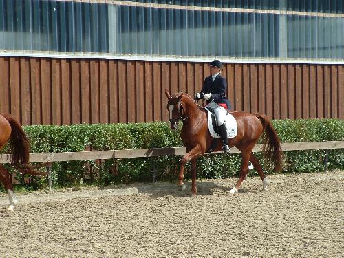 Turnier in Bocholt-Stenern